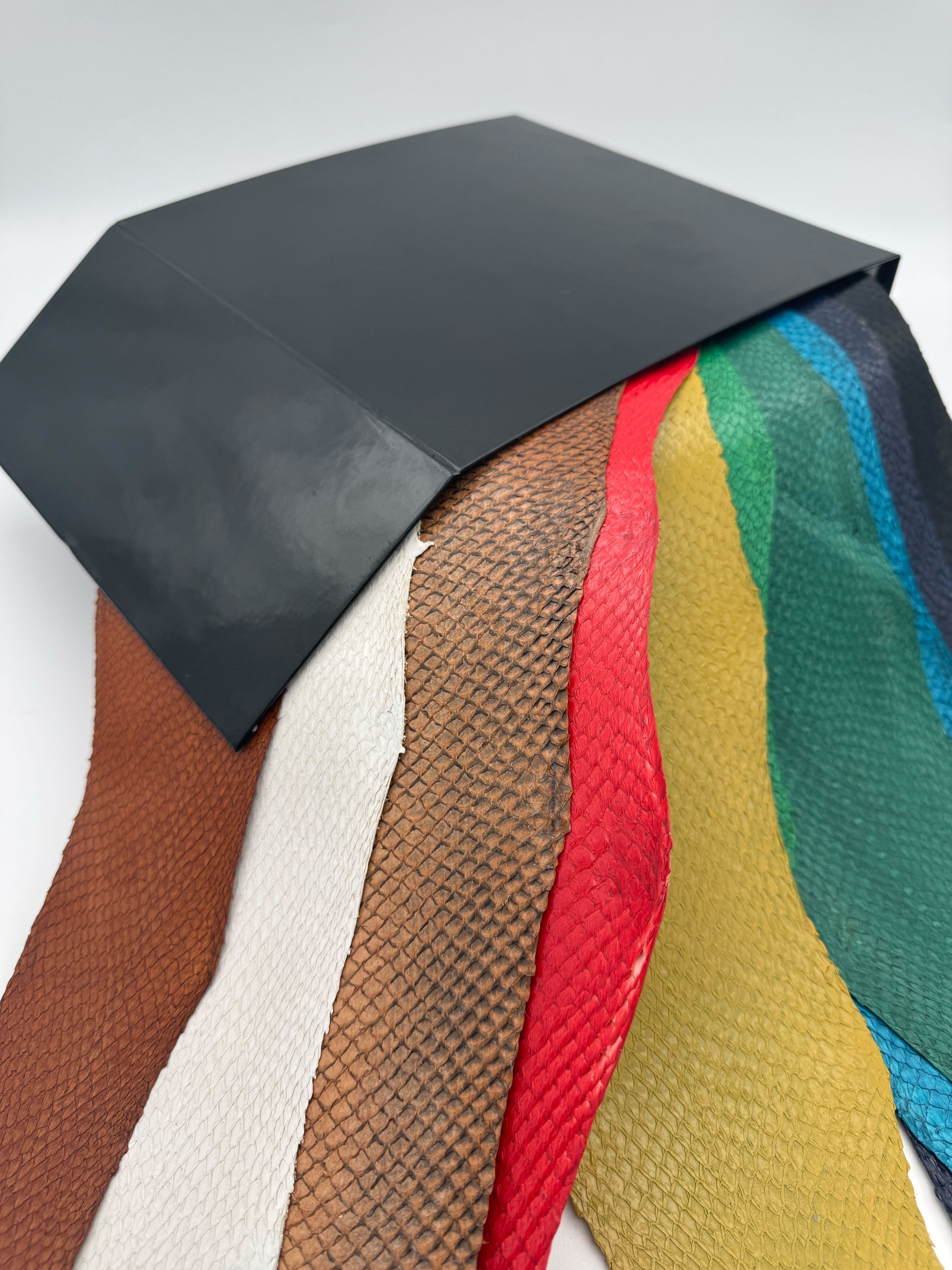 PACK MYSTÈRE : SQUAMA ICTYOS