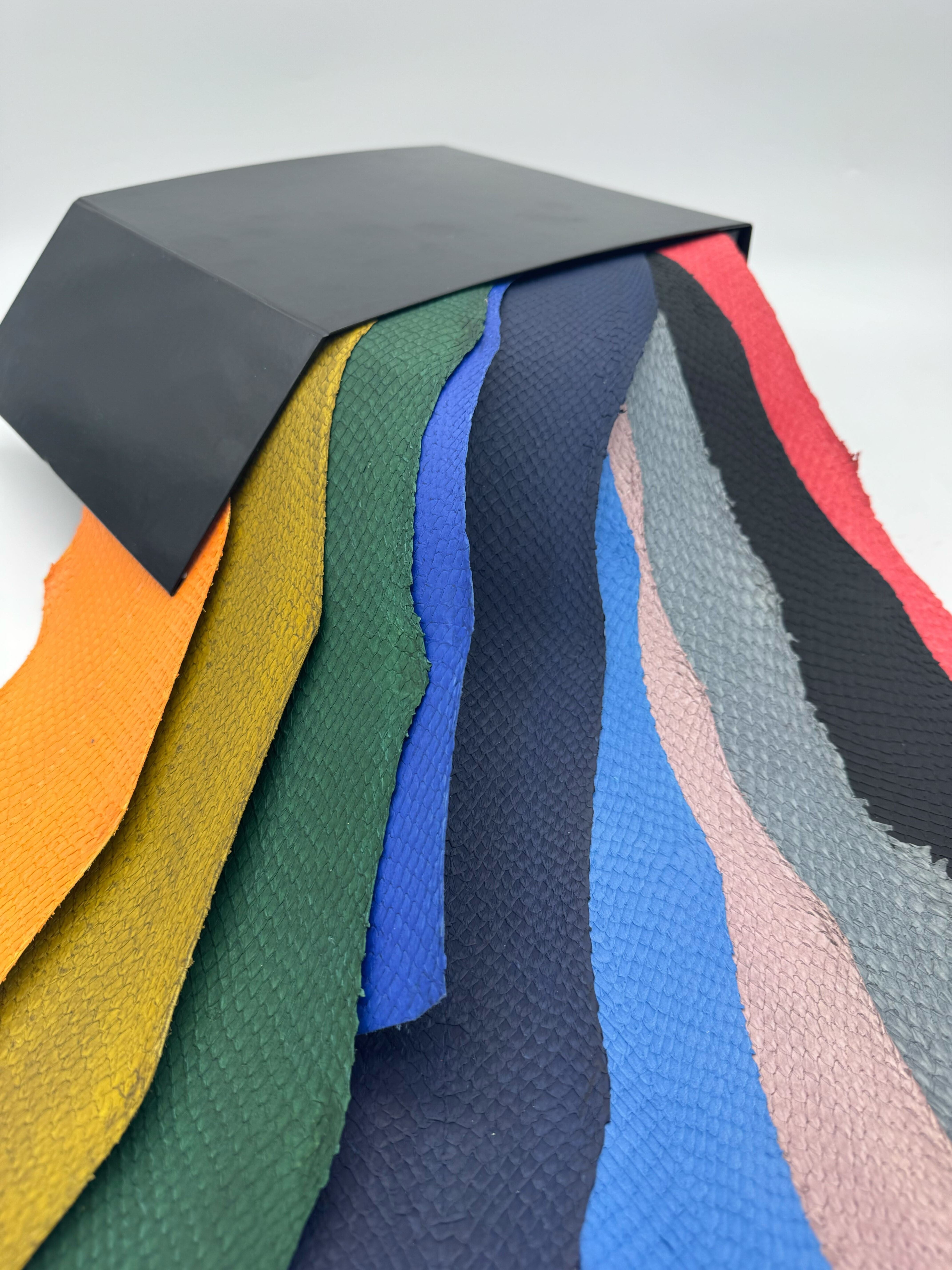 PACK MYSTÈRE : SQUAMA ICTYOS