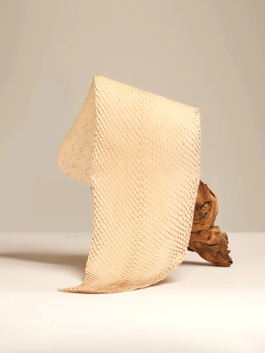 SQUAMA® BRUT Tara ictyos-store