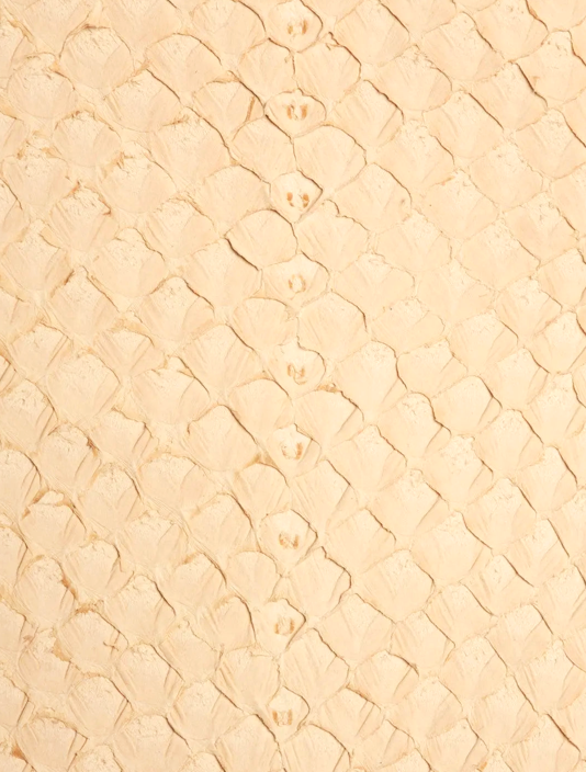 SQUAMA® BRUT Tara ictyos-store