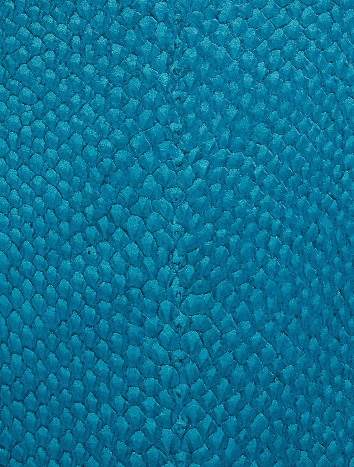 LUNA® BRILLANT Curaçao ictyos-store