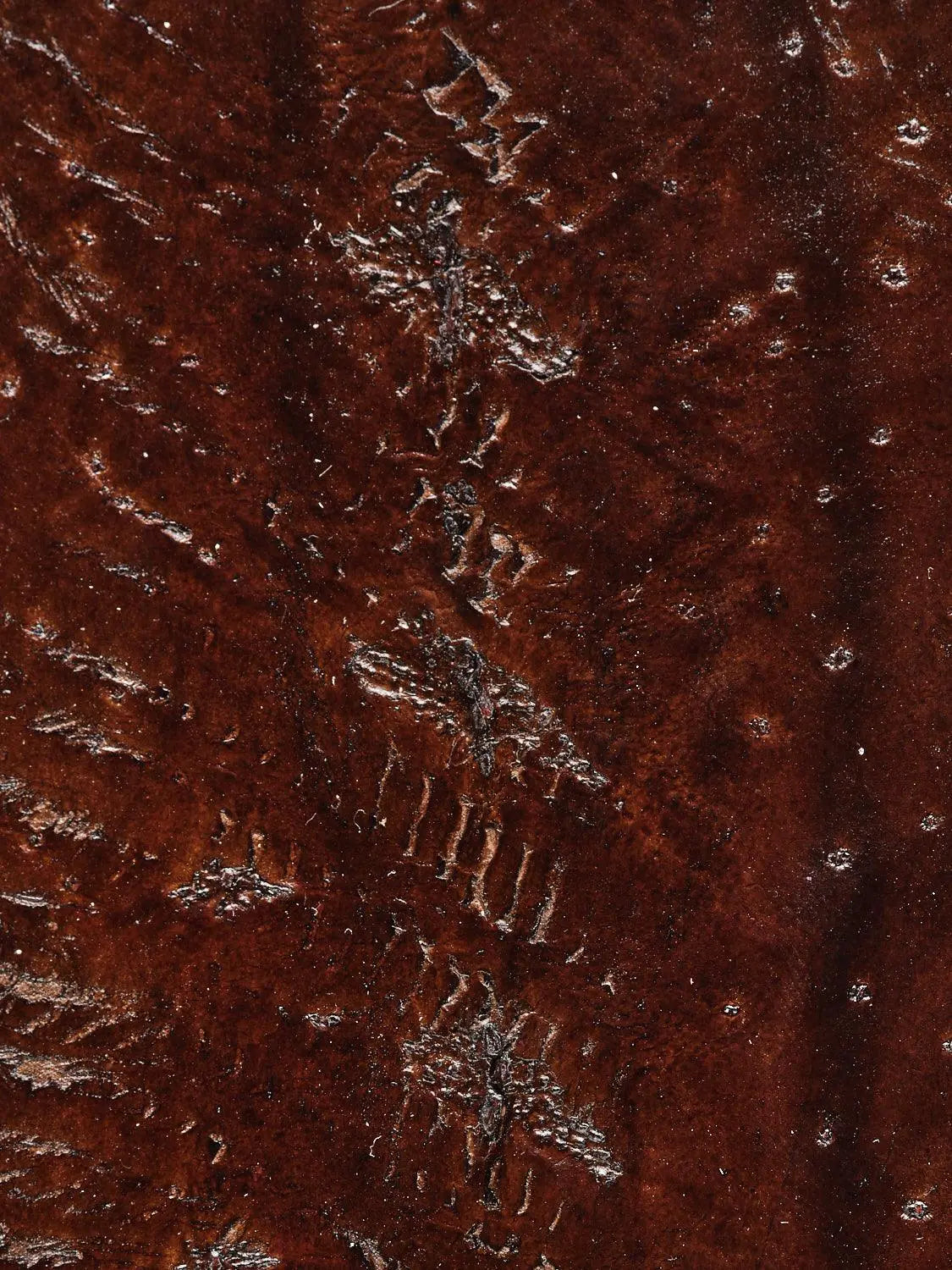 NOVA® BRILLANT Ebène ictyos-store