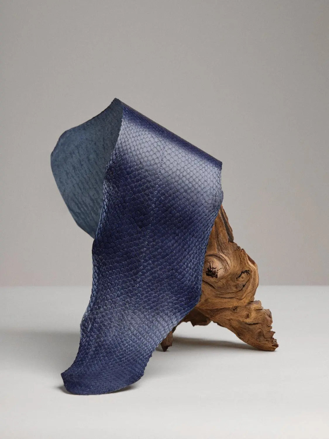 SQUAMA® BRILLANT Bleu Adriatique ictyos-store