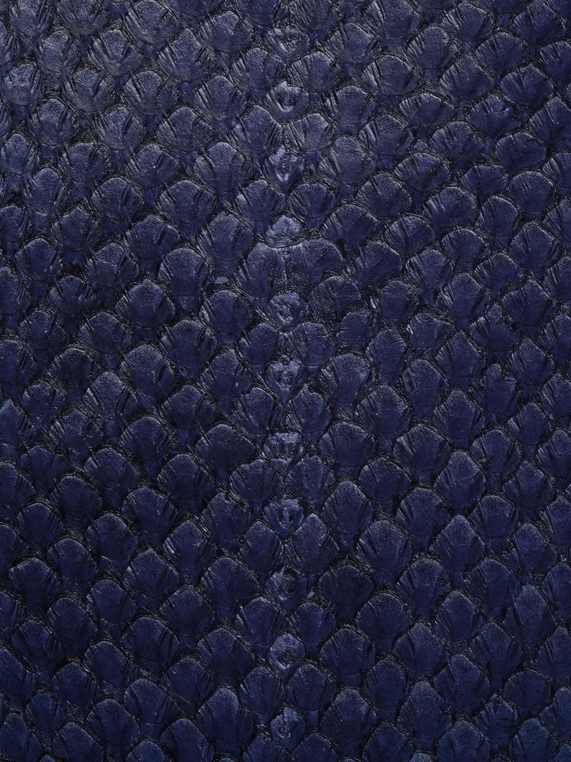 SQUAMA® BRILLANT Bleu Adriatique ictyos-store