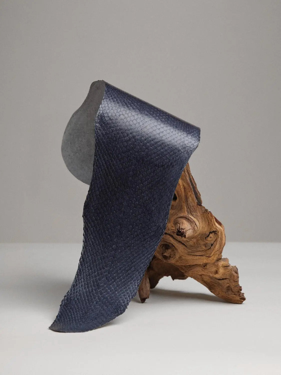 SQUAMA® BRILLANT Bleu Atlantique ictyos-store