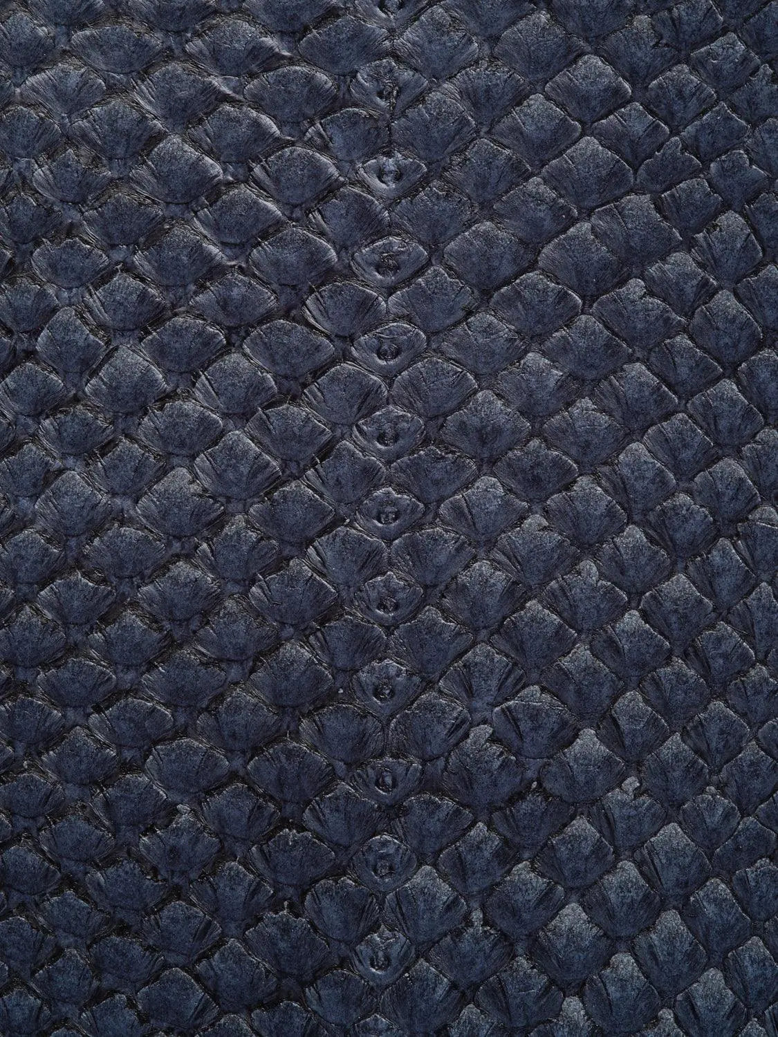 SQUAMA® BRILLANT Bleu Atlantique ictyos-store