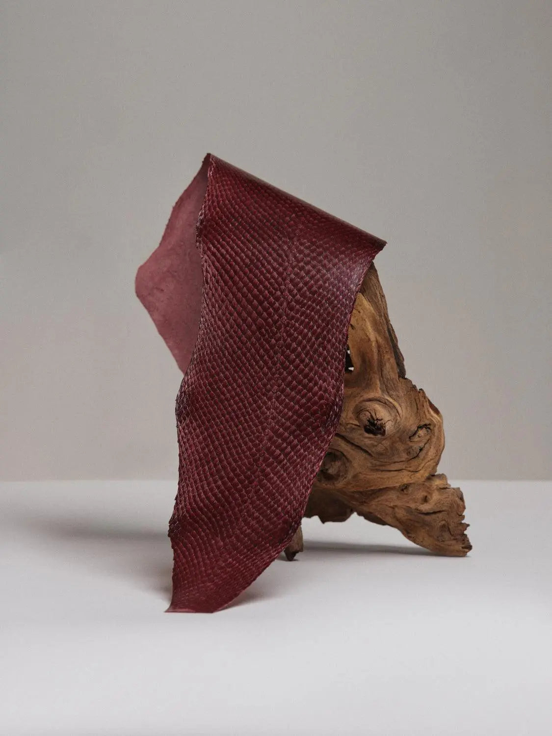 SQUAMA® BRILLANT Bordeaux ictyos-store