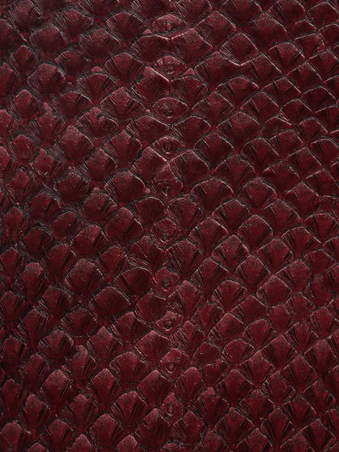 SQUAMA® BRILLANT Bordeaux ictyos-store