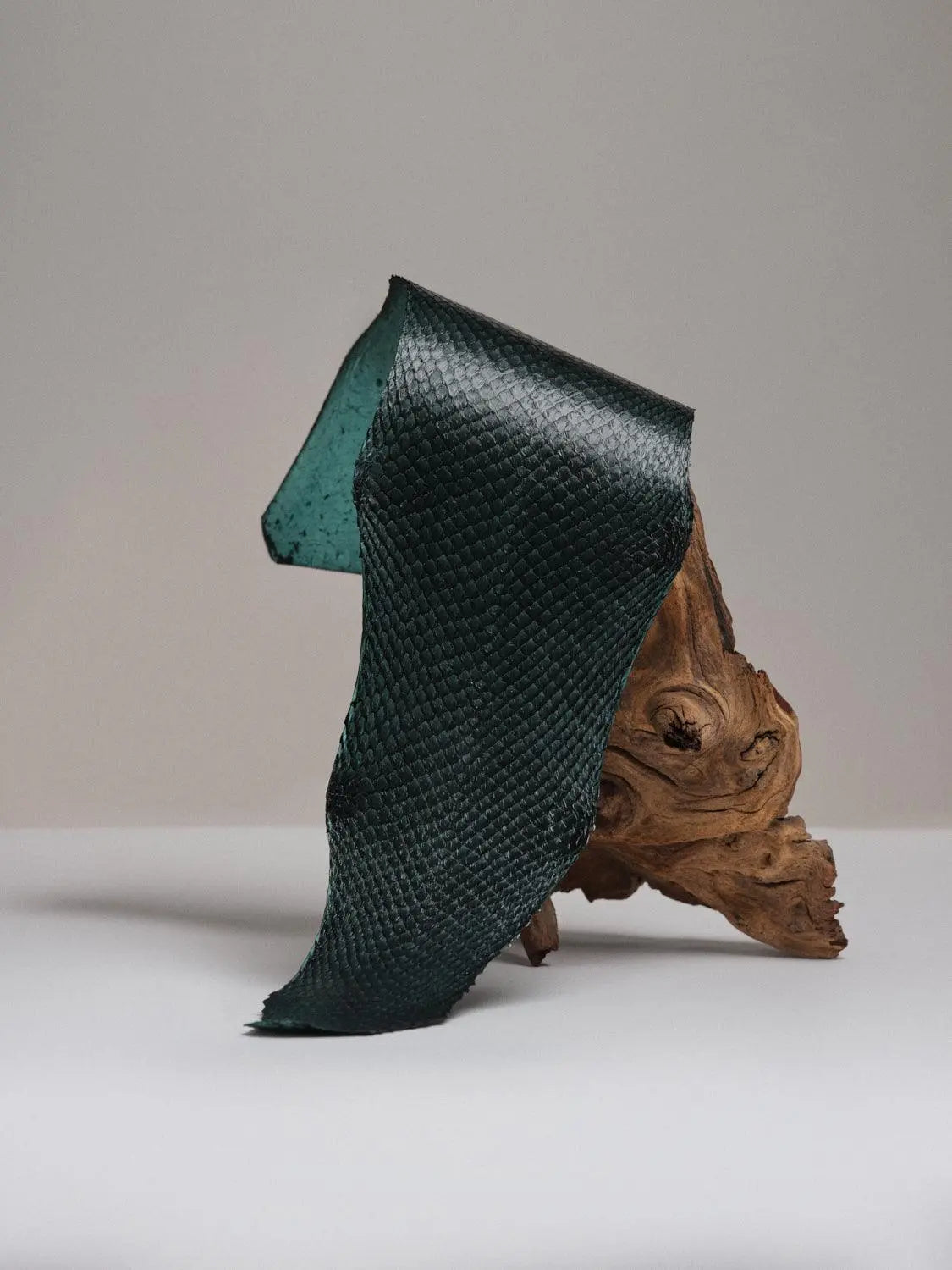 SQUAMA® BRILLANT Vert Anglais ictyos-store