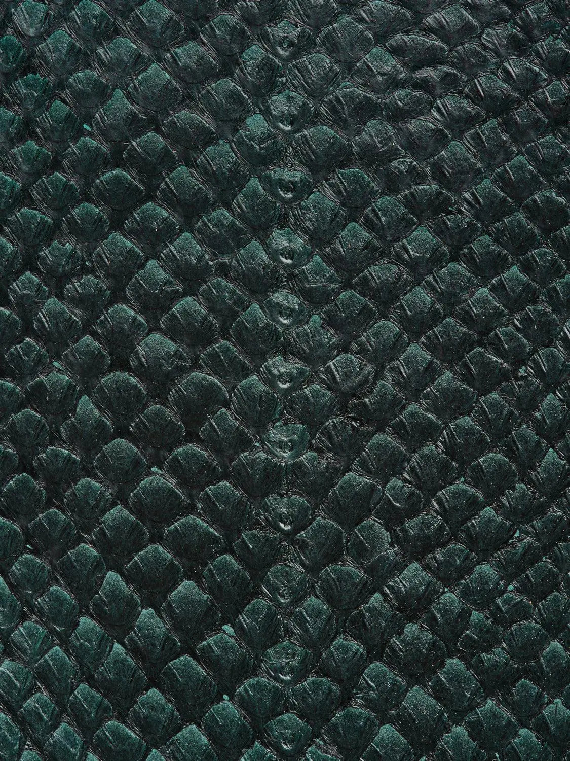 SQUAMA® BRILLANT Vert Anglais ictyos-store