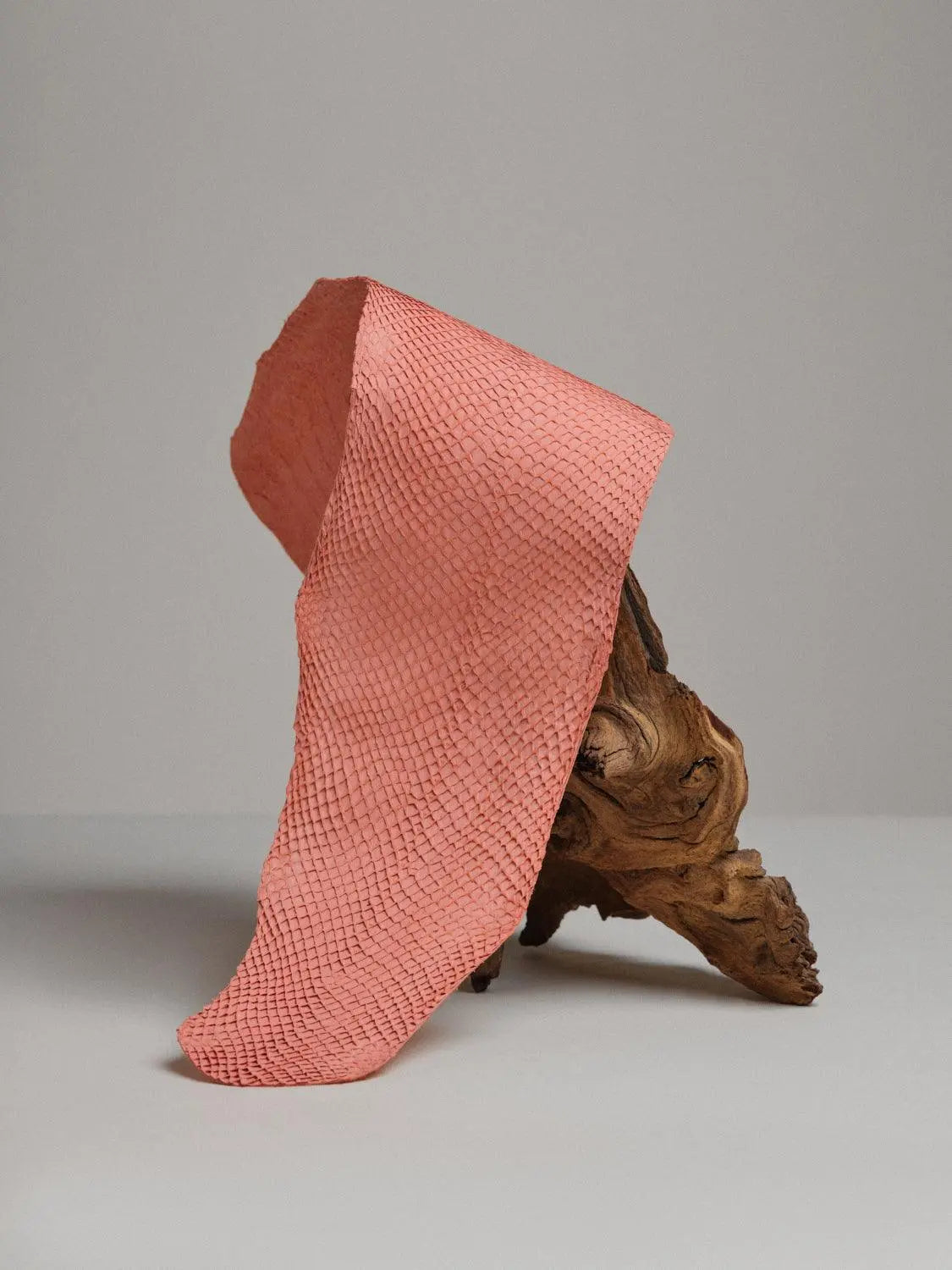 SQUAMA® BRUT Rouge Corail ictyos-store