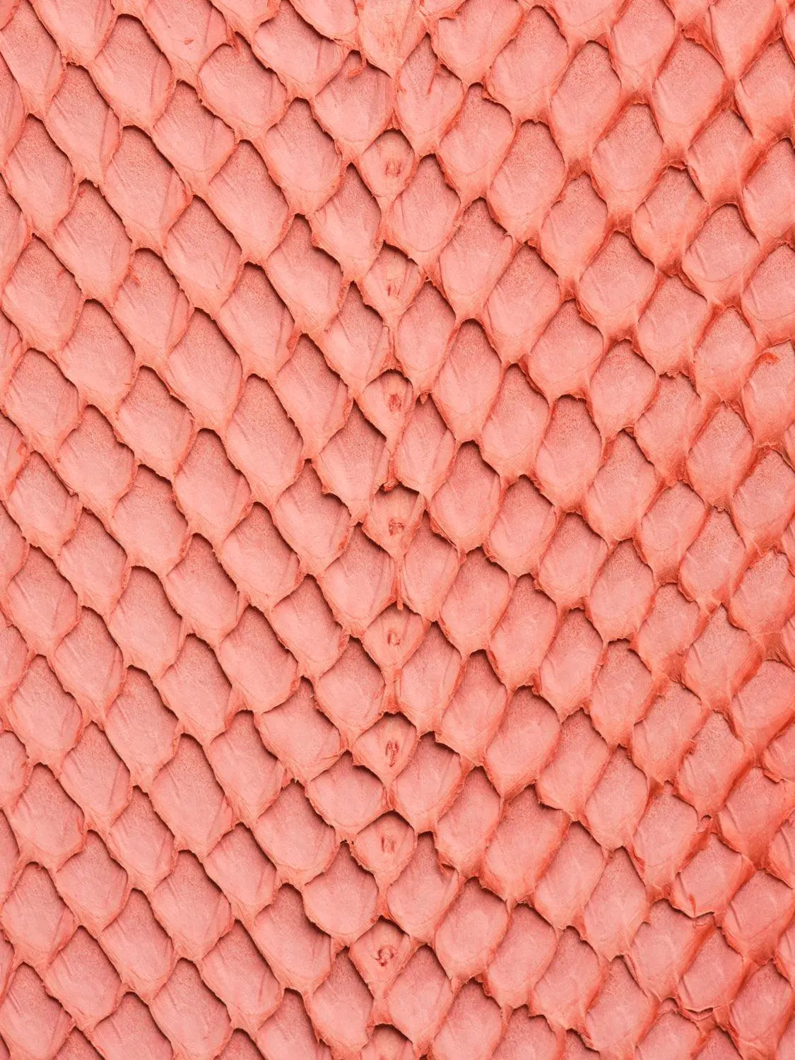 SQUAMA® BRUT Rouge Corail ictyos-store