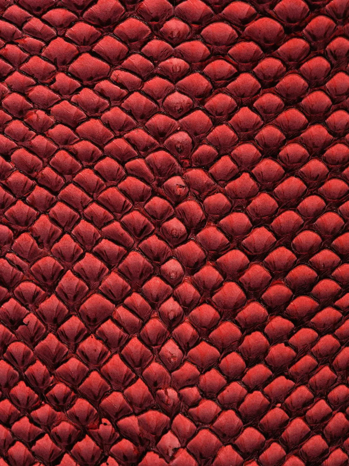 SQUAMA® DÉGRADÉ Carmine ictyos-store