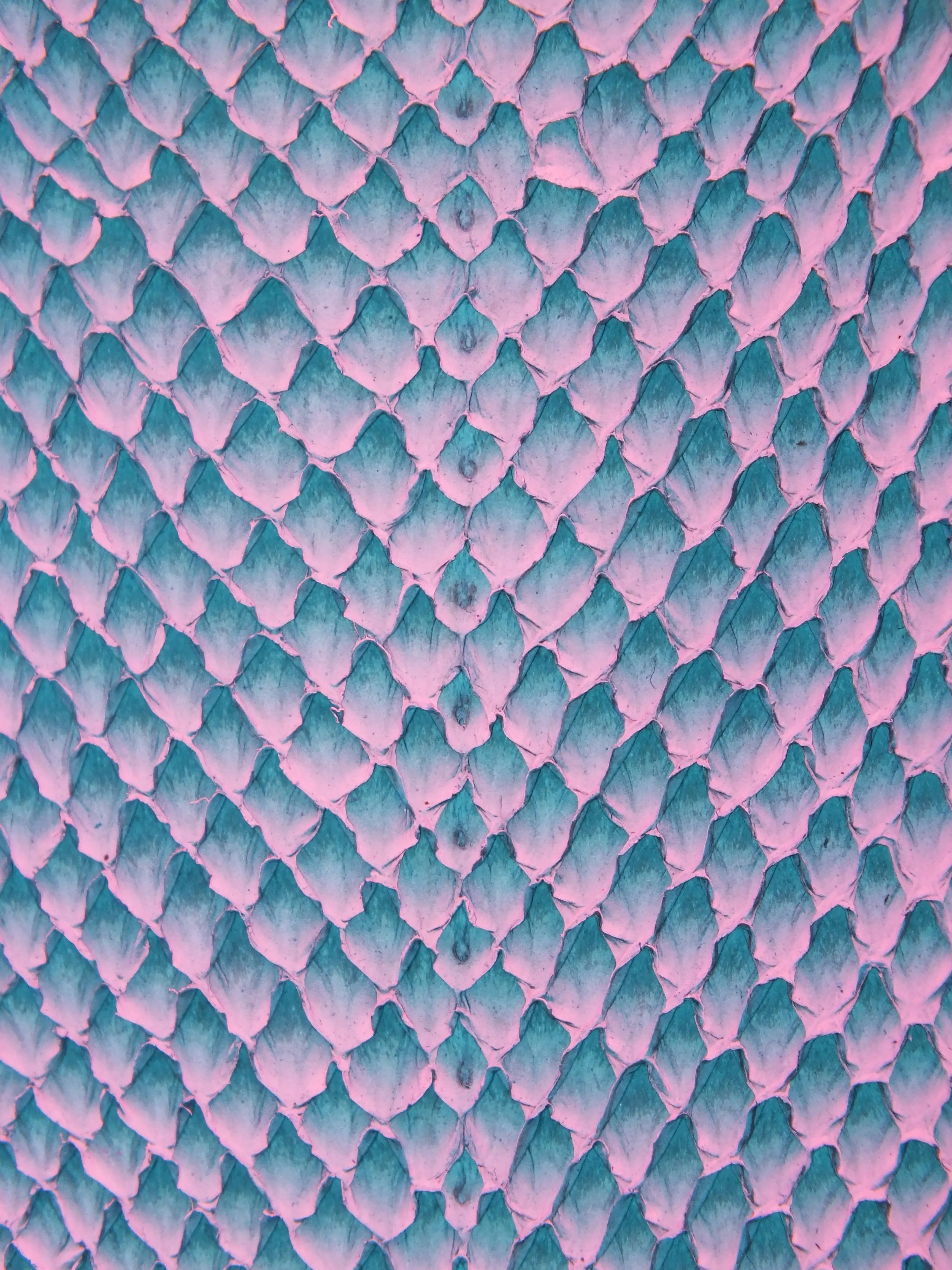 SQUAMA® DÉGRADÉ Bleu Minuit ictyos-store