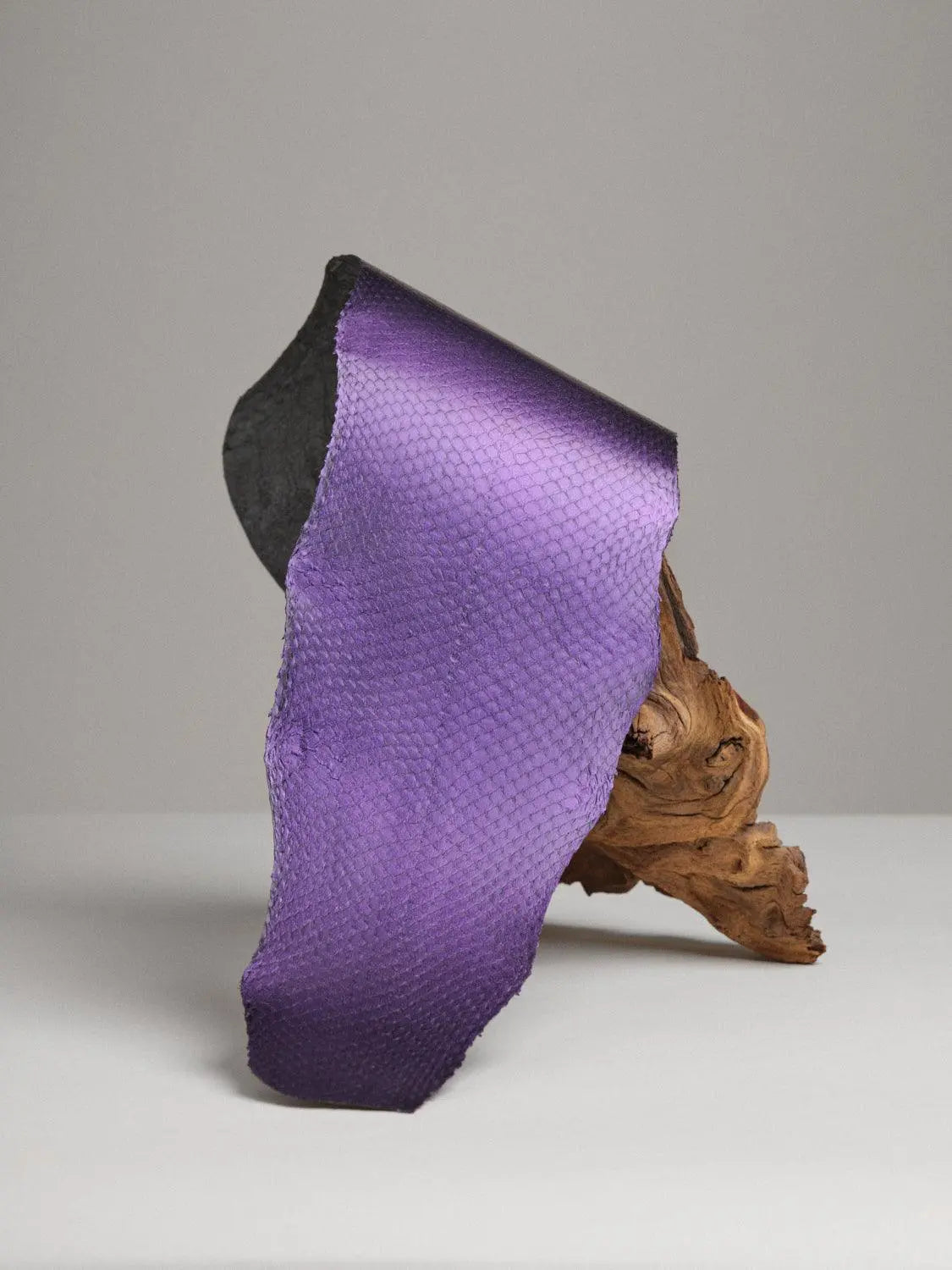 SQUAMA® MÉTALLISÉ Améthyste ictyos-store