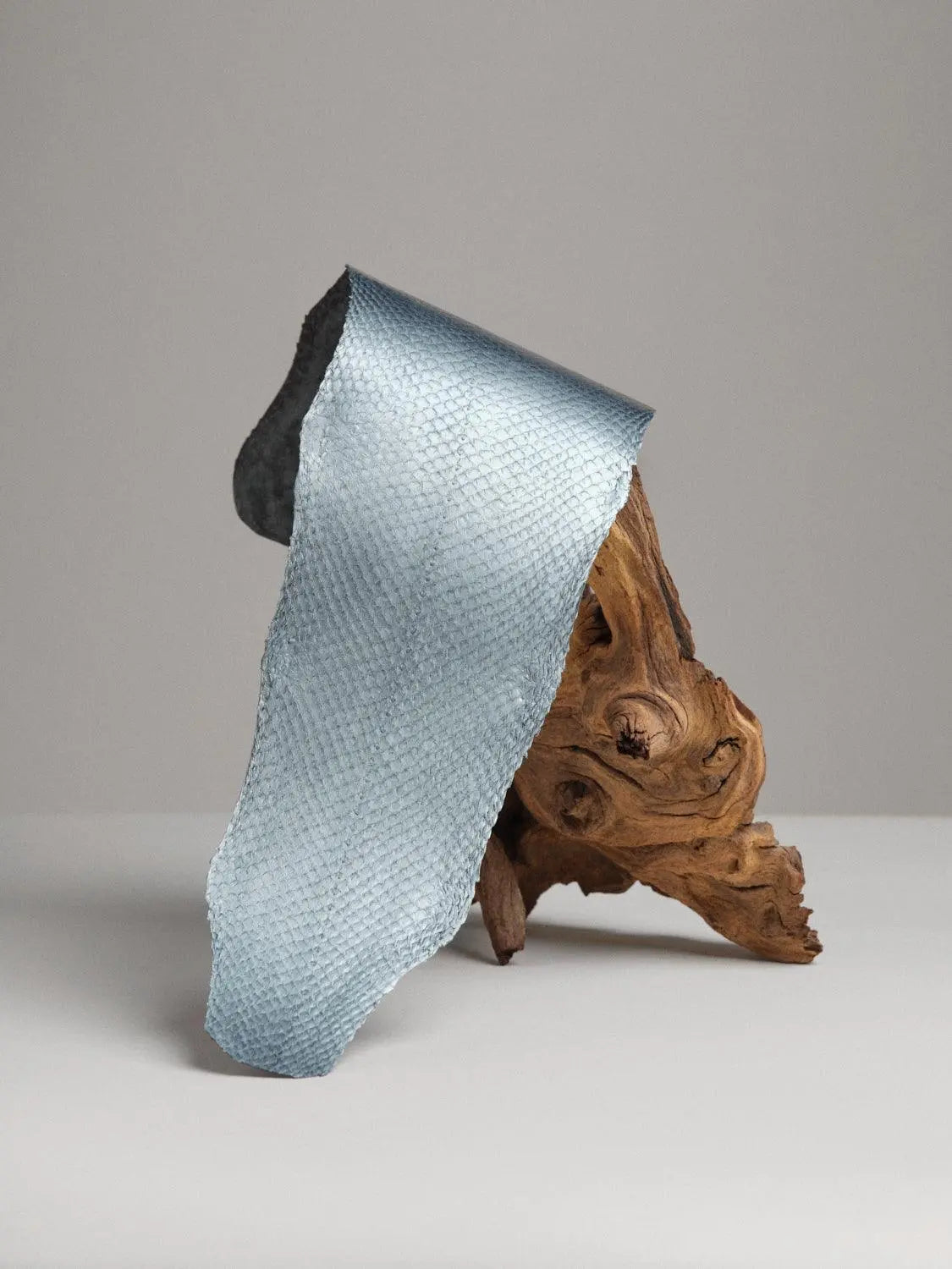 SQUAMA® MÉTALLISÉ Argent ictyos-store