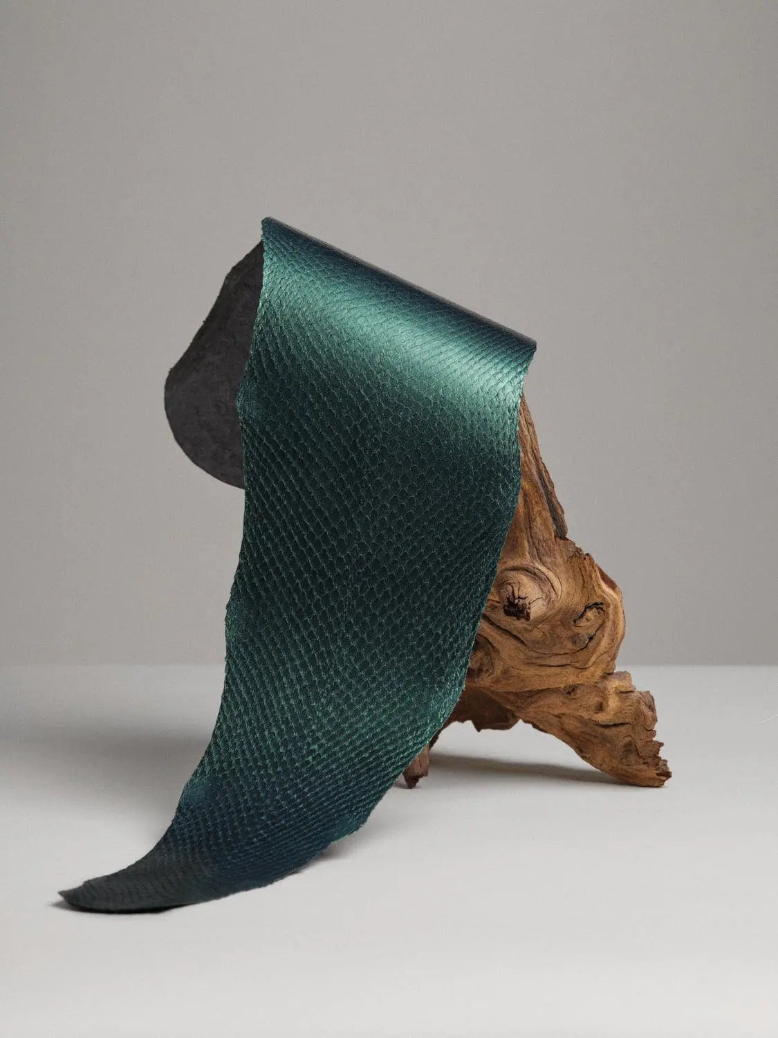 SQUAMA® MÉTALLISÉ Boréale ictyos-store