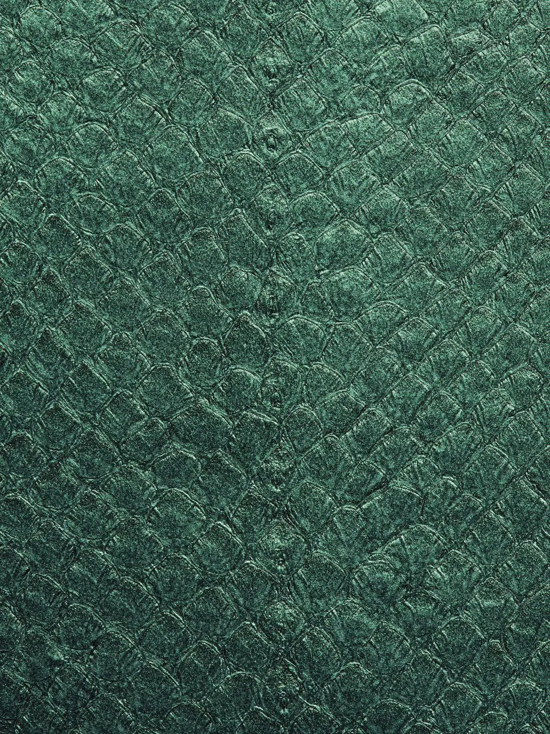 SQUAMA® MÉTALLISÉ Boréale ictyos-store