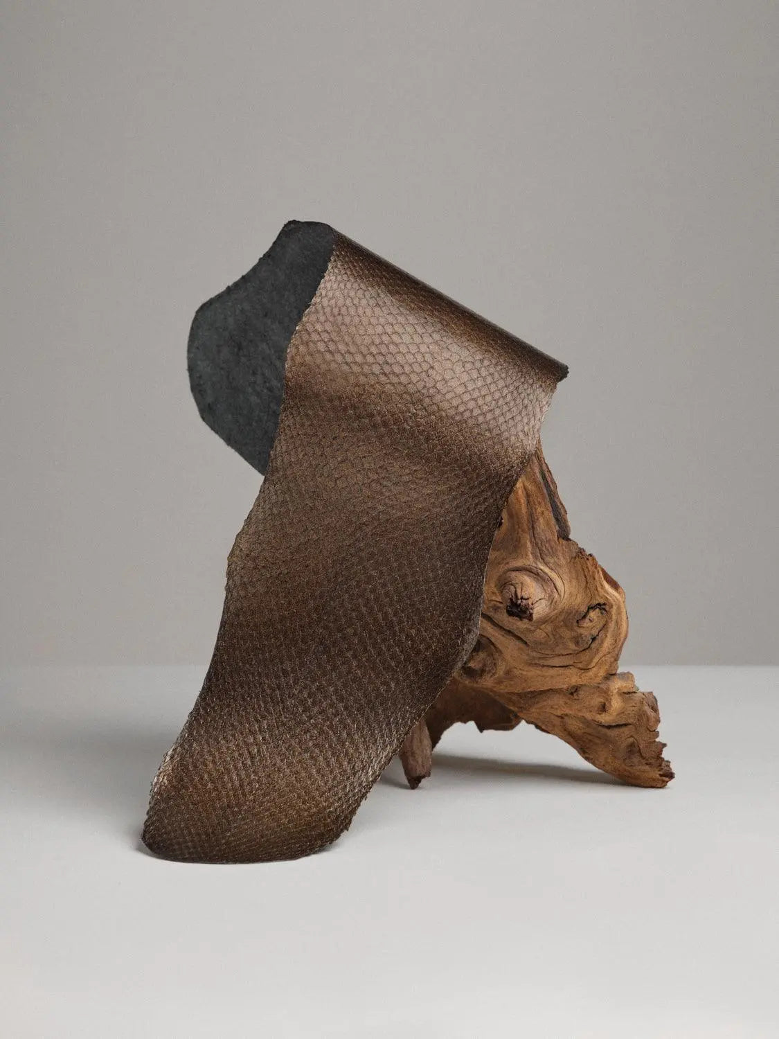 SQUAMA® MÉTALLISÉ Bronze ictyos-store