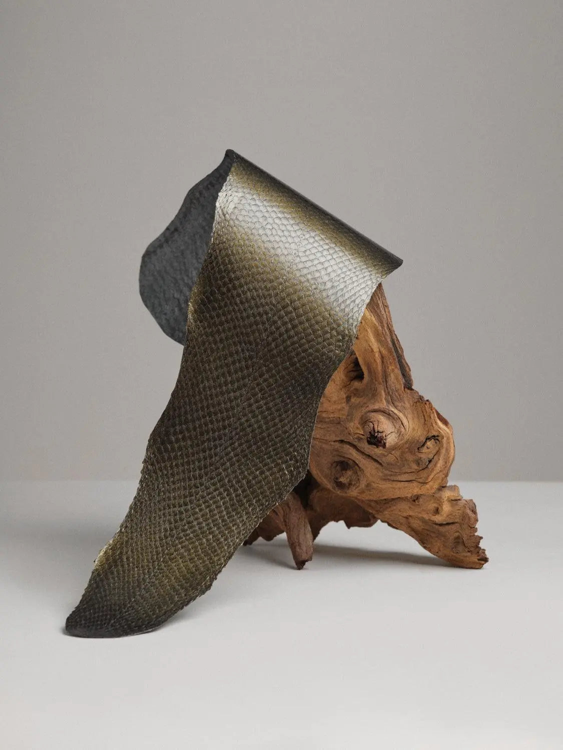 SQUAMA® MÉTALLISÉ Doré ictyos-store