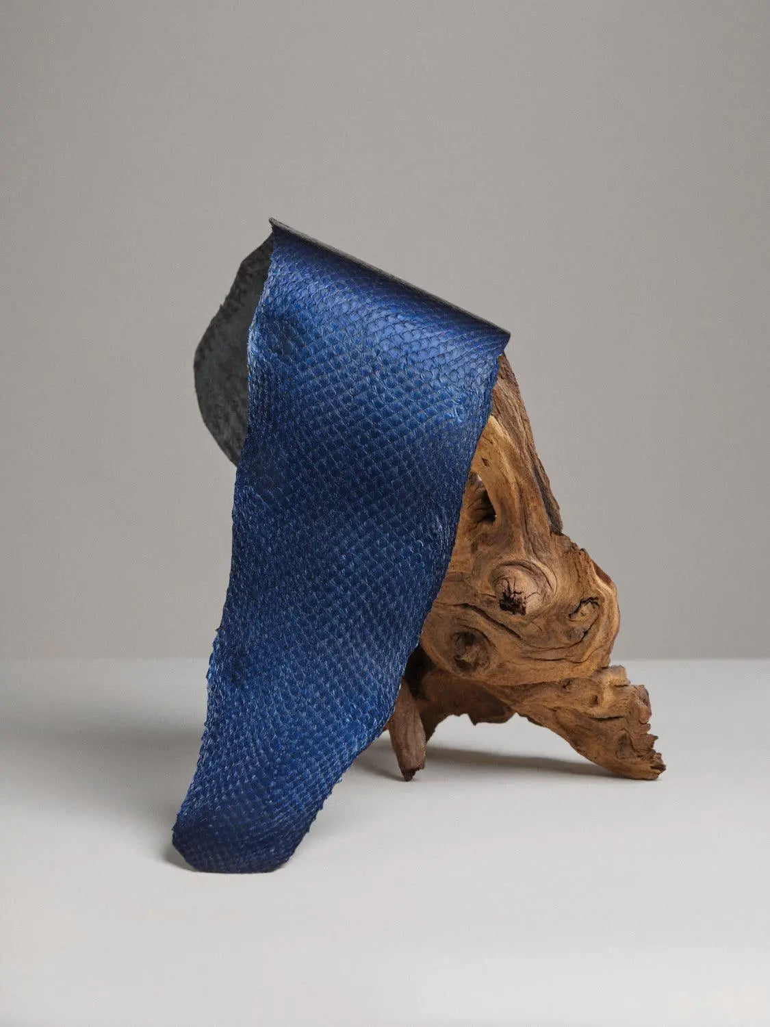 SQUAMA® MÉTALLISÉ Saphir ictyos-store