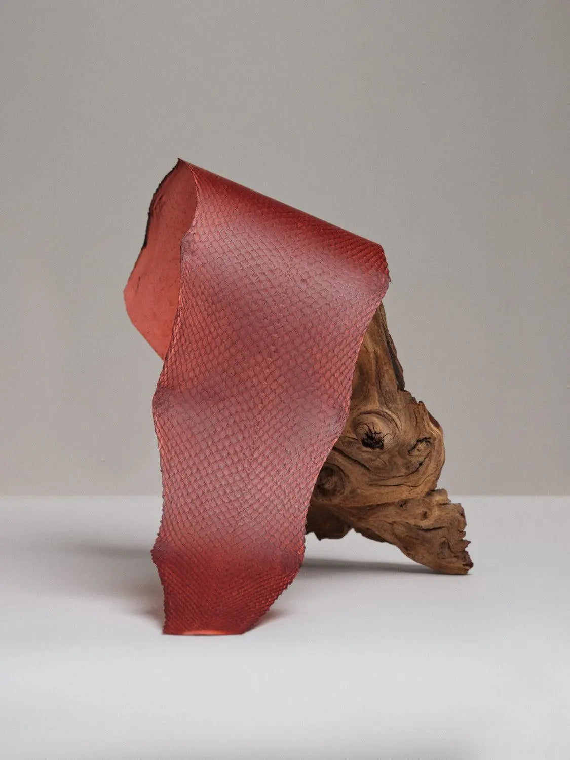 SQUAMA® SATINÉ Rouge Velours ictyos-store