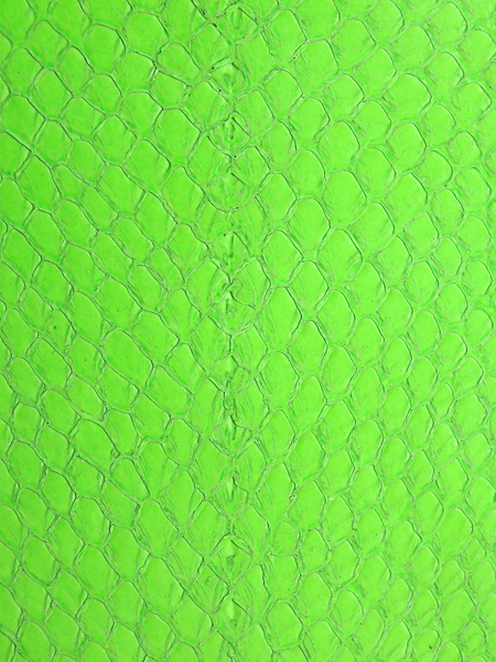 LUNA® BRILLANT Vert Fluo