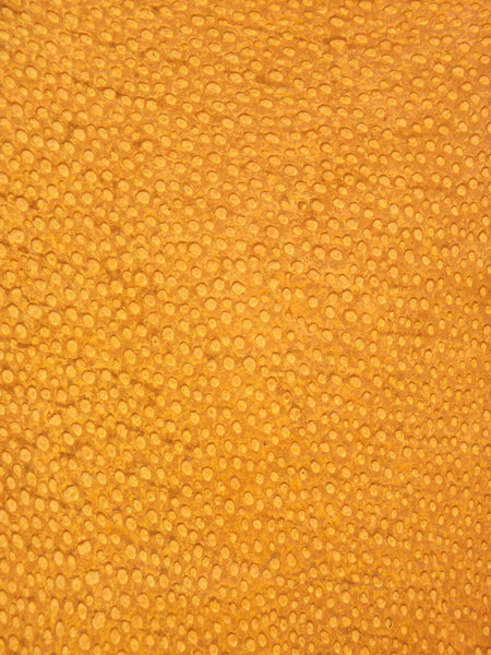 NAYA® BRILLANT Aurore