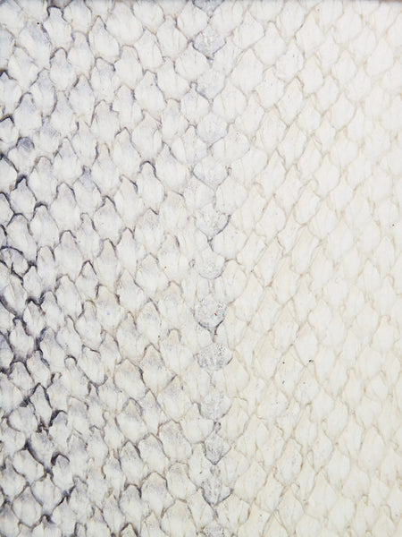 SQUAMA® BRILLANT Origine
