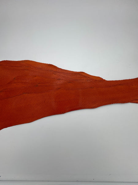 PACK de 10 SQUAMA BRILLANT Terracota - Taille Large - Choix 1