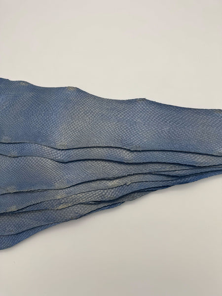 PACK de 10 SQUAMA MÉTALLISÉ Bleu Rivage Doré - Taille Large - Choix 1