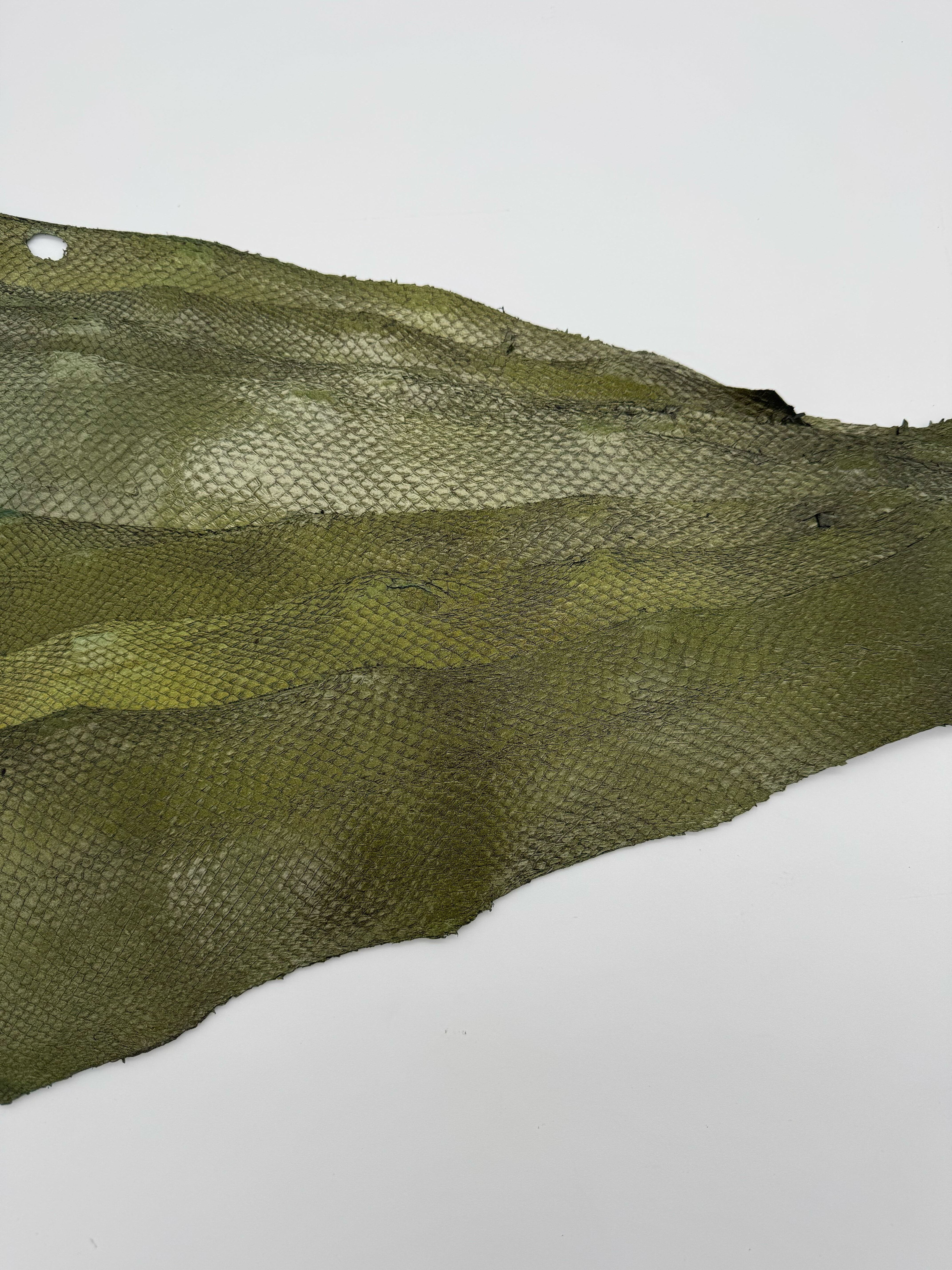 PACK de 10 SQUAMA MÉTALLISÉ Vert doré - Taille Medium - Choix 2 ICTYOS