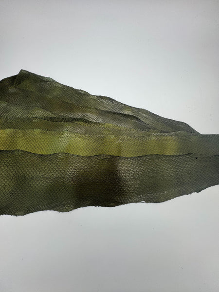 PACK de 10 SQUAMA MÉTALLISÉ Vert doré - Taille Large - Choix 1