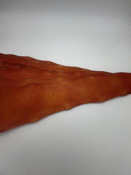 PACK de 10 SQUAMA MÉTALLISÉ Flamboyant - Taille Large - Choix 1