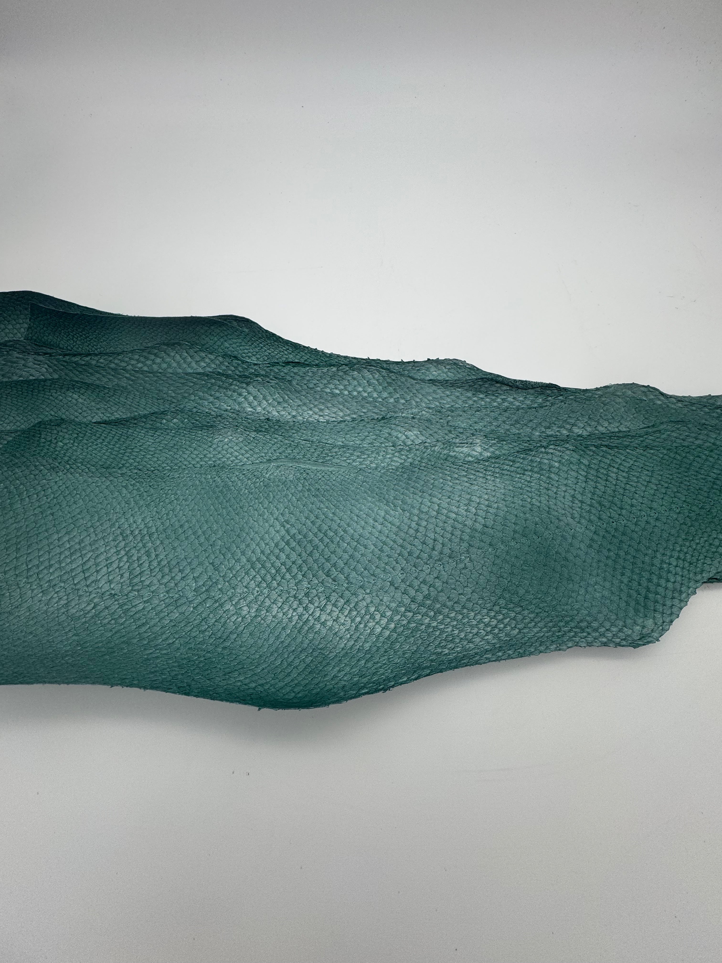 PACK de 10 SQUAMA MÉTALLISÉ Sauge argenté - Taille Large - Choix 1 ICTYOS