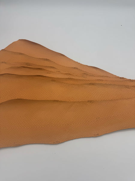 PACK de 10 SQUAMA SATINÉ Provence - Taille Large - Choix 2