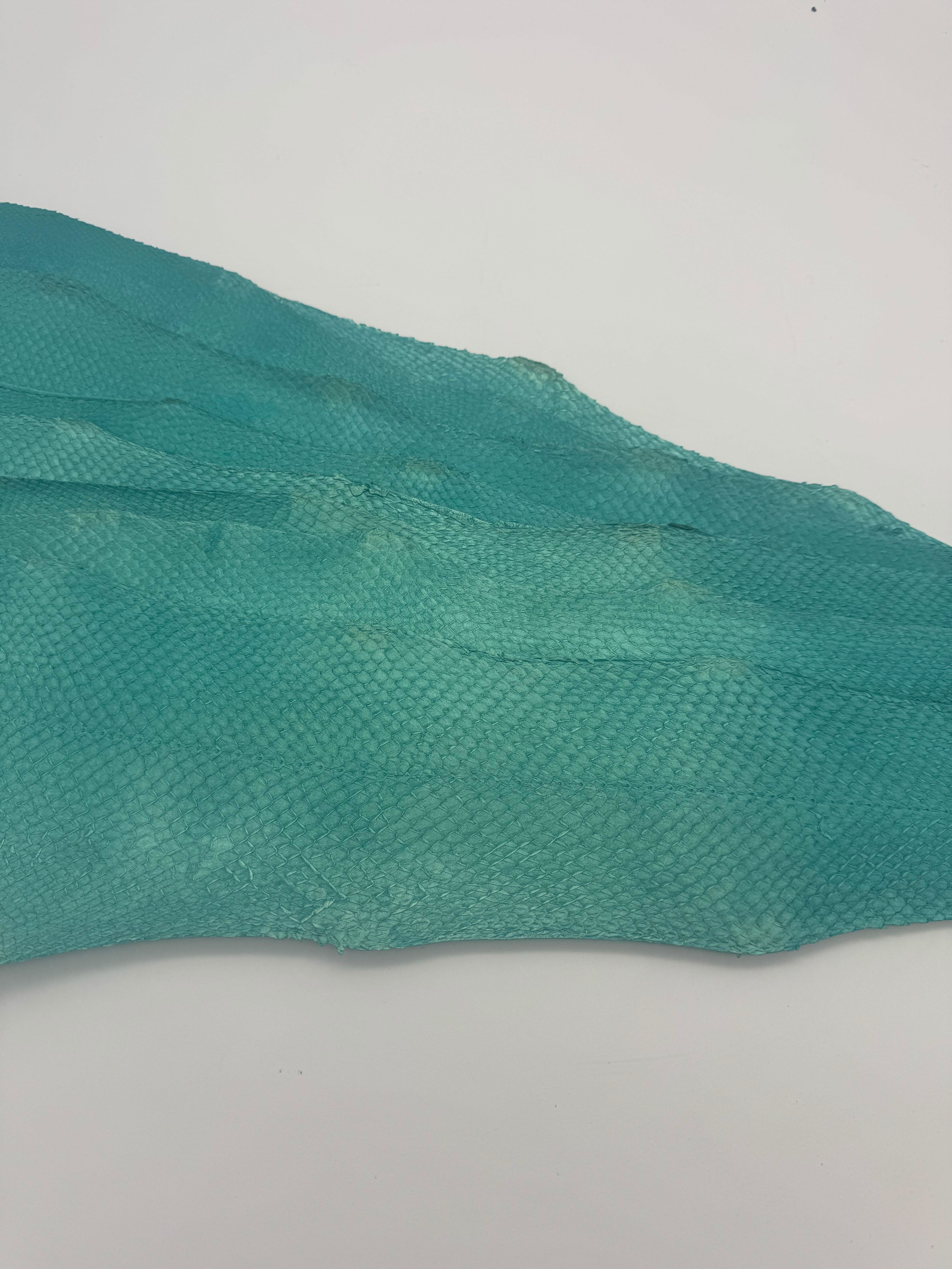 PACK de 10 SQUAMA MÉTALLISÉ Turquoise - Taille Large - Choix 1 ICTYOS