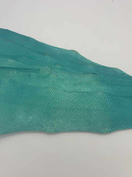PACK of 10 METALLIC Turquoise Scales - Large Size - Choice 1