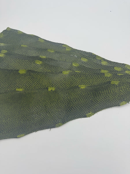 PACK de 10 SQUAMA DÉGRADÉ Noir sur Vert- Taille Large - Choix 1