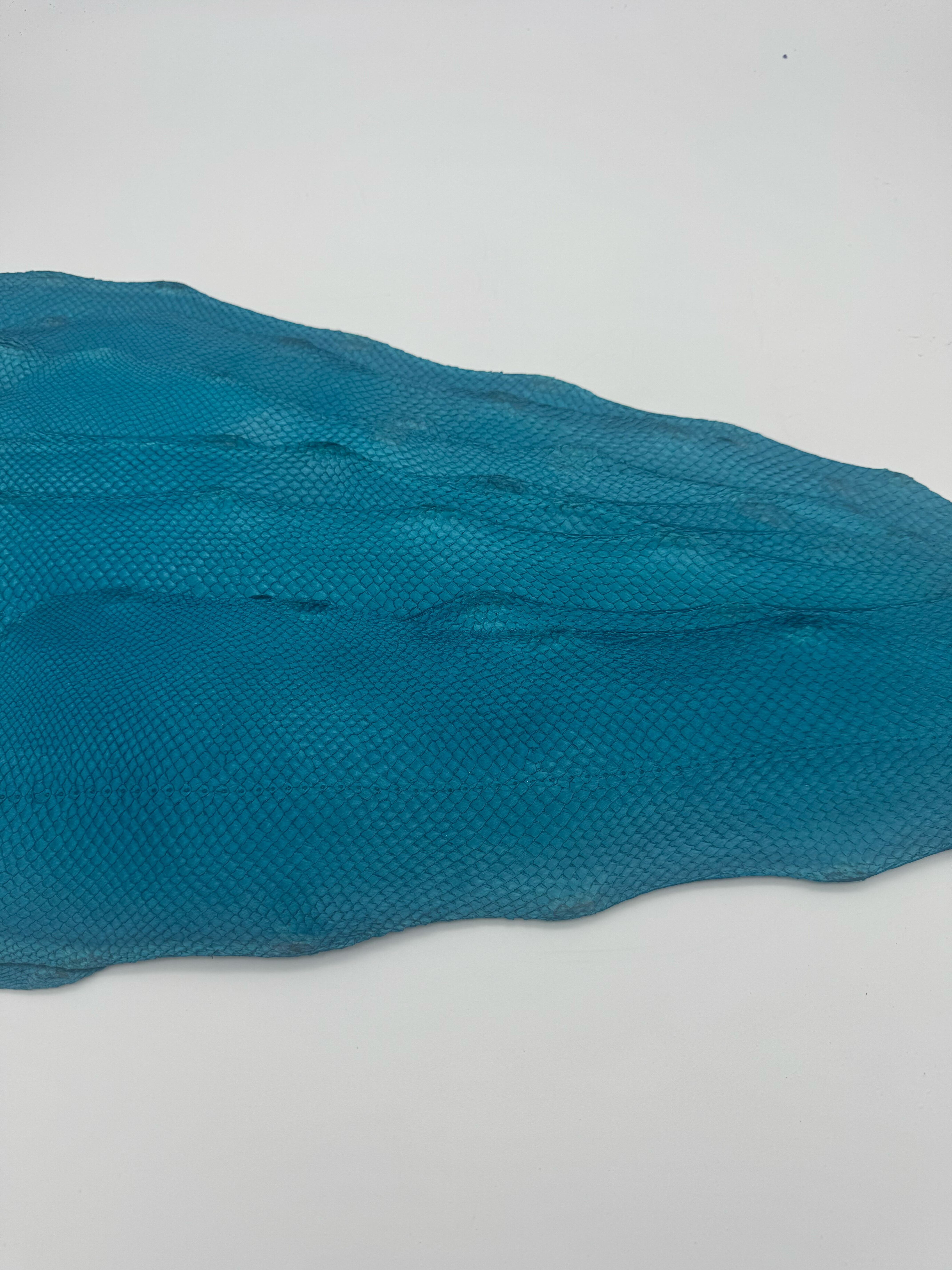 PACK de 10 SQUAMA BRILLANT Bleu Méditerranée- Taille Large - Choix 1 ICTYOS