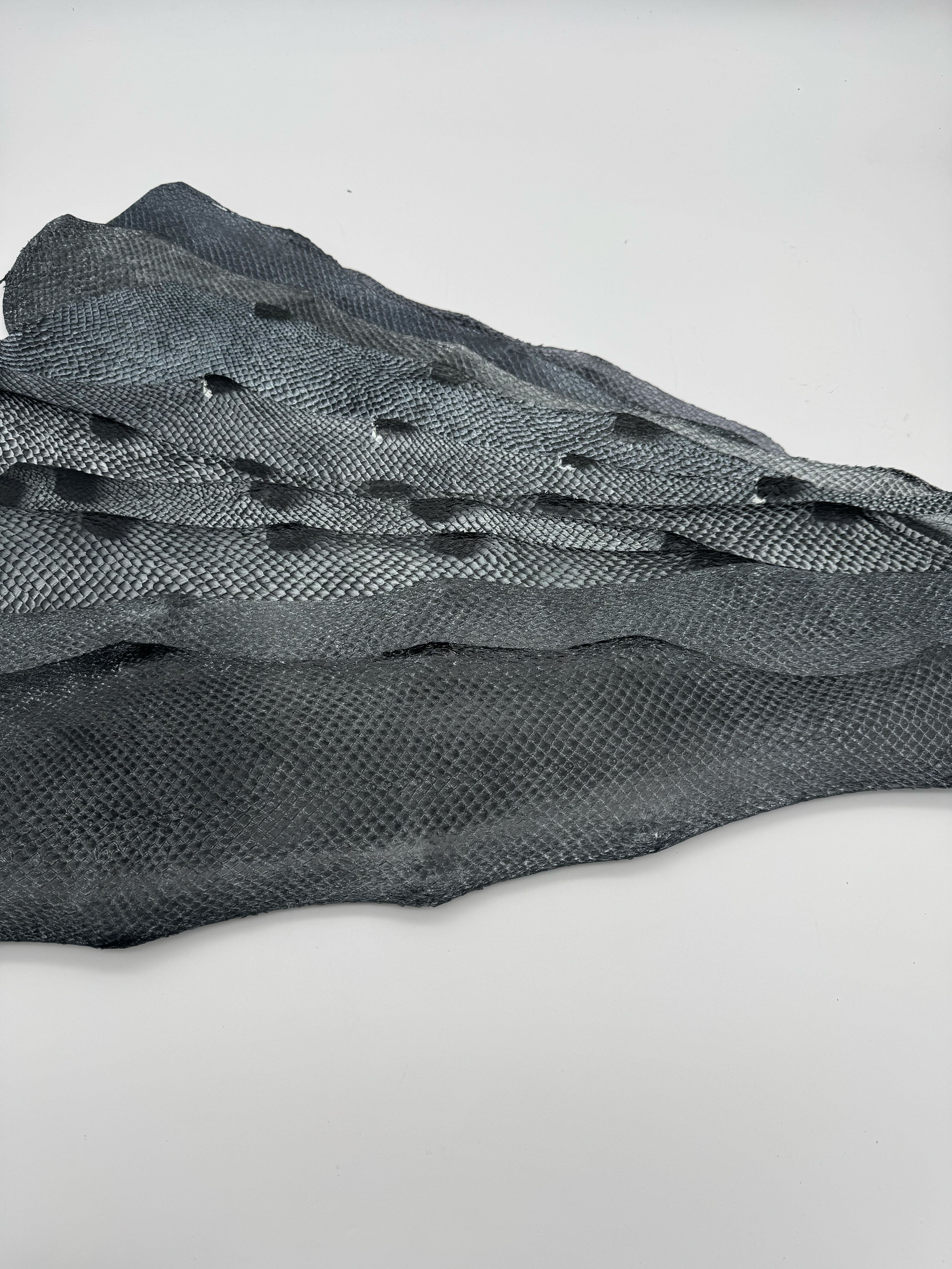 PACK de 10 SQUAMA DÉGRADÉ Une touche argentée - Taille Large - Choix 1 ICTYOS