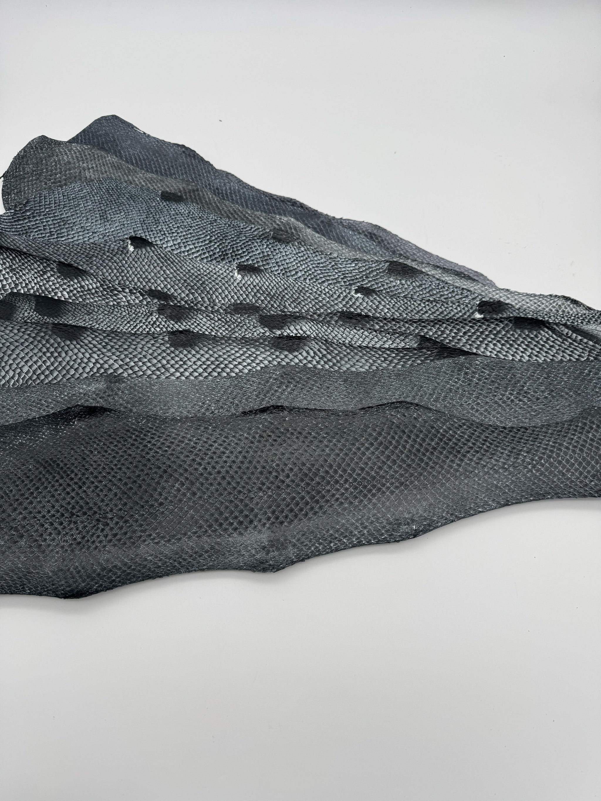 PACK de 10 SQUAMA DÉGRADÉ Une touche argentée - Taille Large - Choix 1 ICTYOS