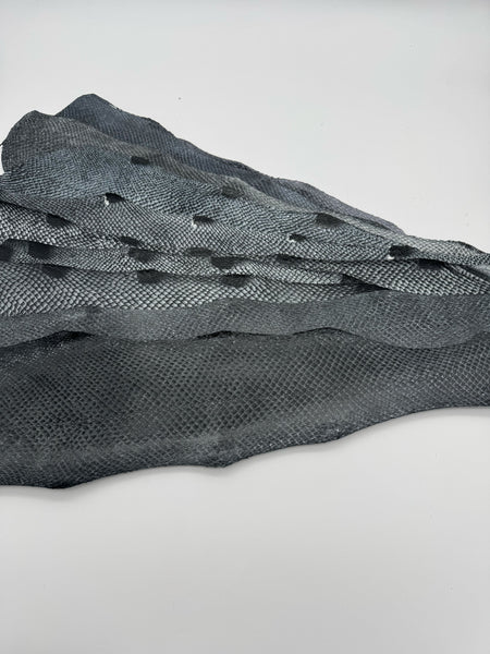 PACK de 10 SQUAMA DÉGRADÉ Une touche argentée - Taille Large - Choix 1
