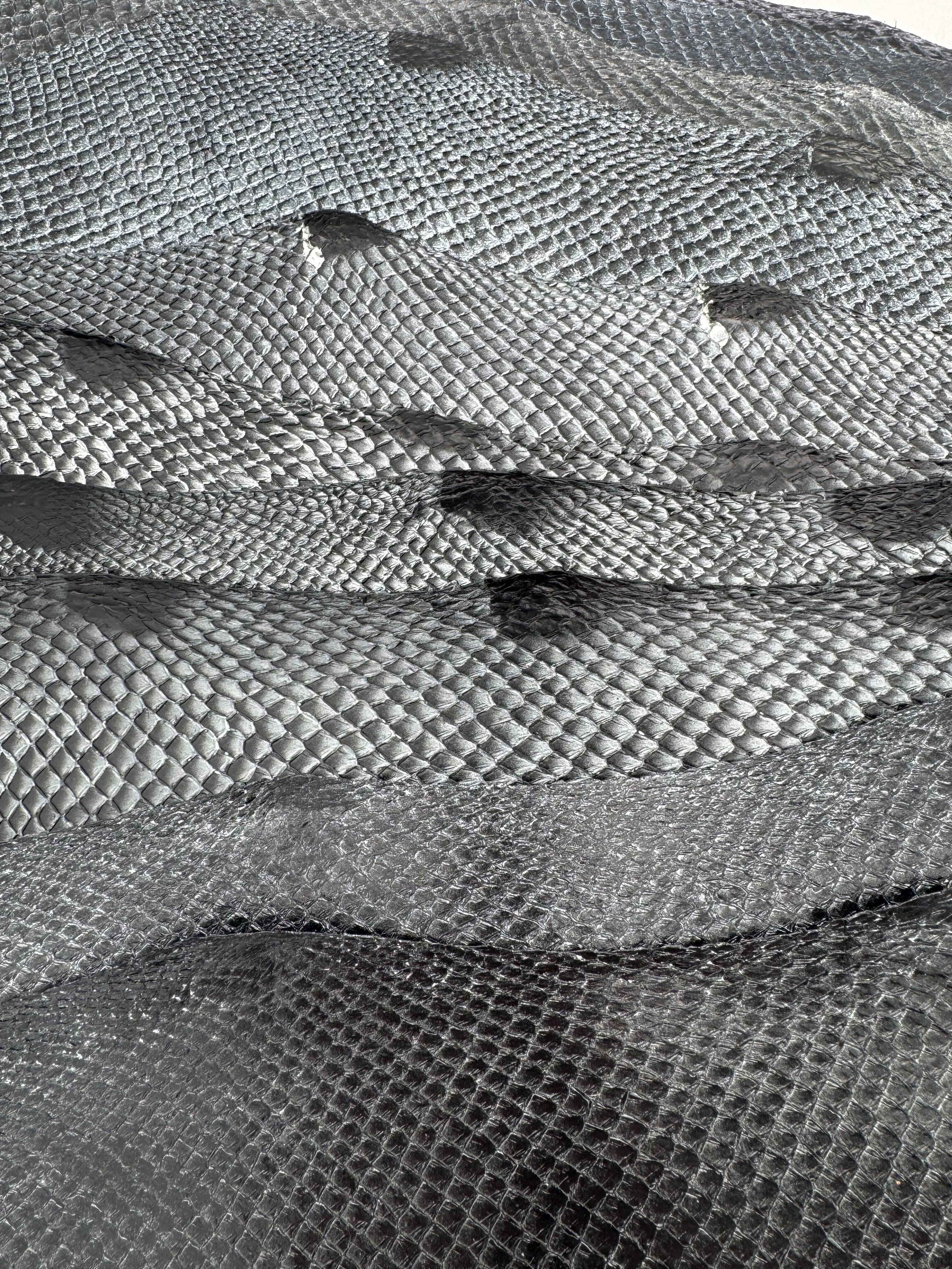 PACK de 10 SQUAMA DÉGRADÉ Une touche argentée - Taille Large - Choix 1 ICTYOS