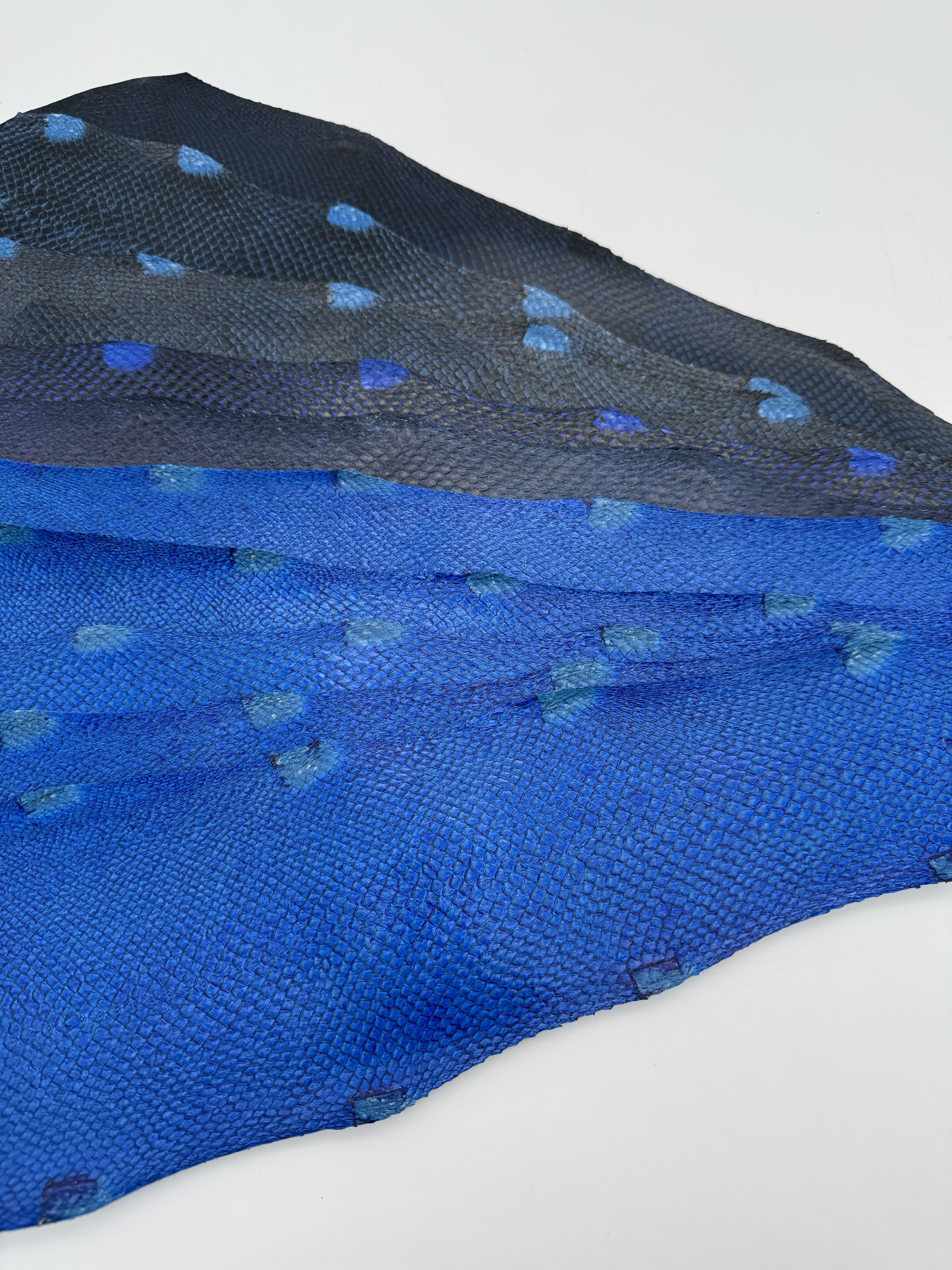 PACK de 10 SQUAMA DÉGRADÉ Variantes bleutés- Tailles Large - Choix 1 ICTYOS