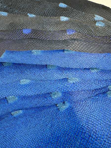 PACK de 10 SQUAMA DÉGRADÉ Variantes bleutés- Tailles Large - Choix 1 ICTYOS