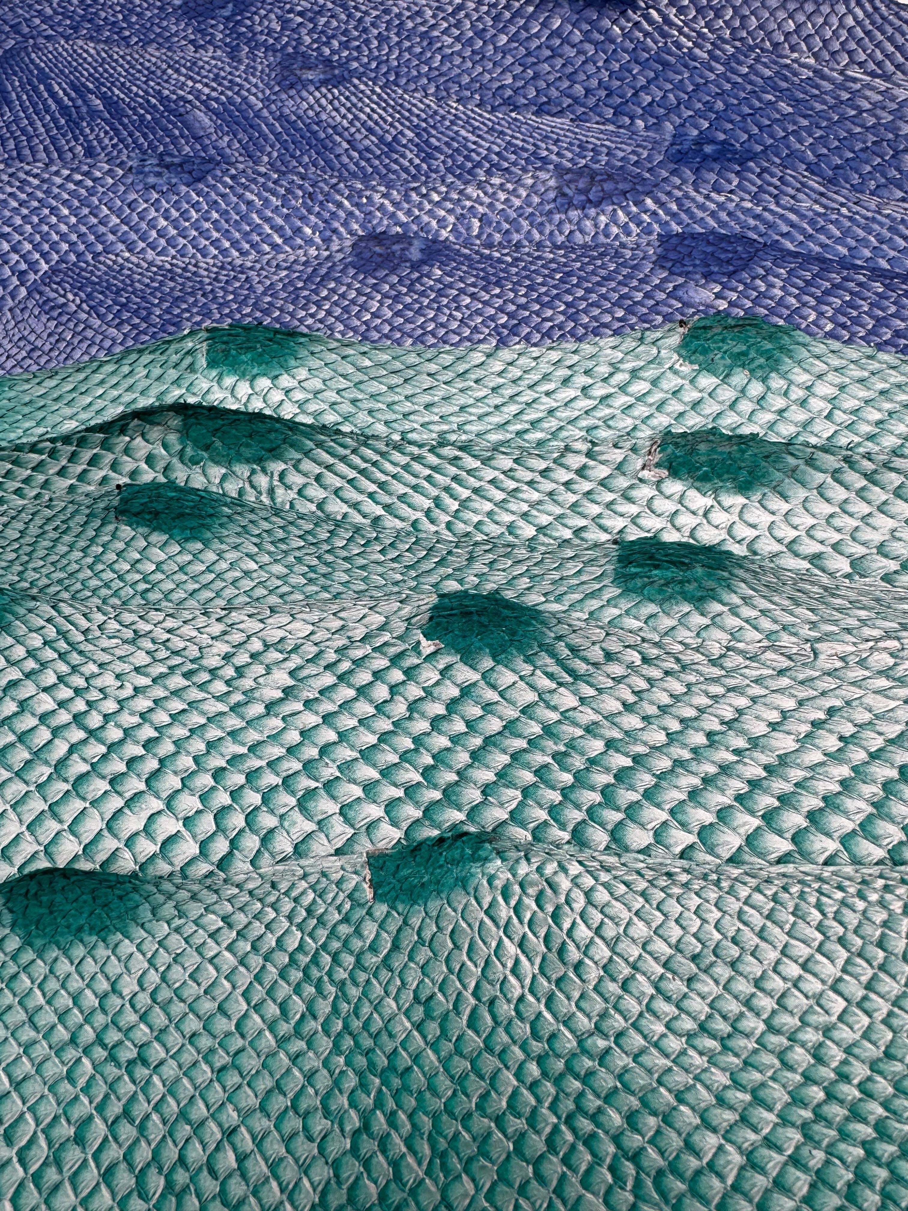 PACK de 10 SQUAMA DÉGRADÉ Variantes argentées - Taille Large - Choix 1 ICTYOS