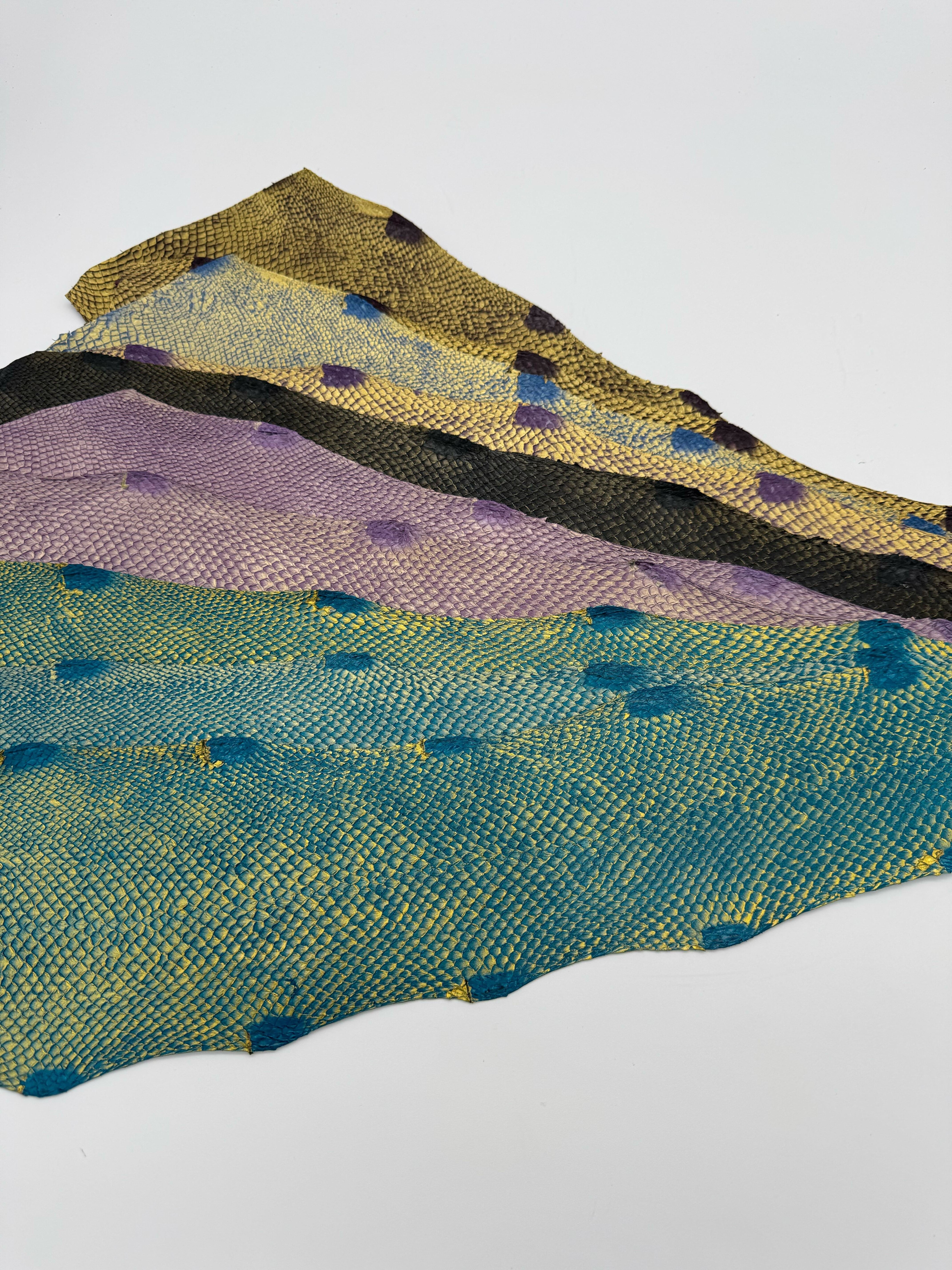 PACK de 10 SQUAMA DÉGRADÉ Doré Multicolore #1 - Taille large - Choix 1 ICTYOS