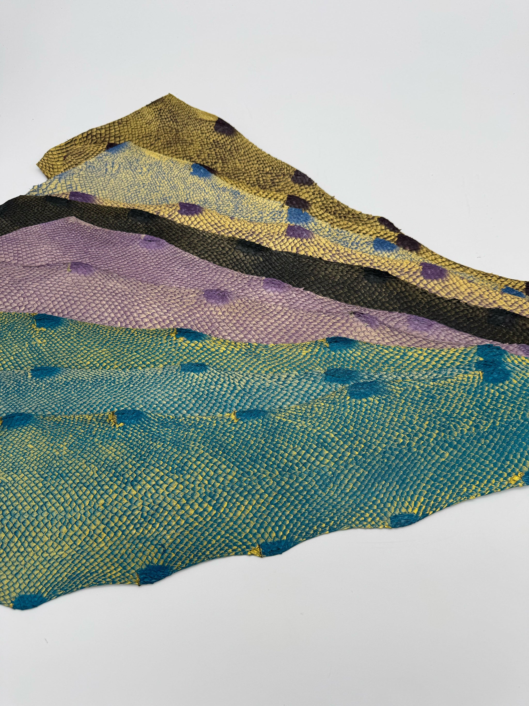 PACK de 10 SQUAMA DÉGRADÉ Doré Multicolore #1 - Taille large - Choix 1 ICTYOS