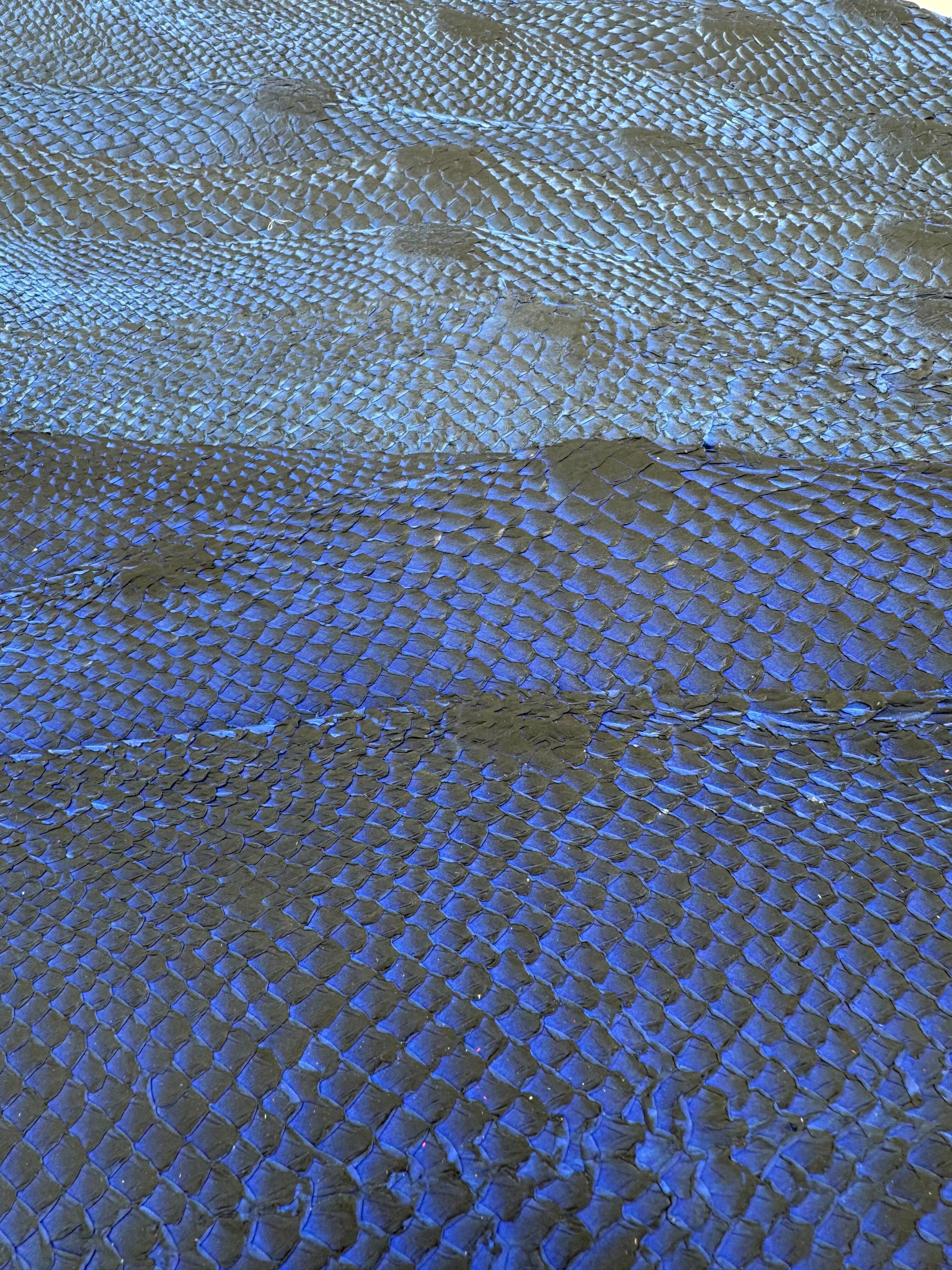 PACK de 10 SQUAMA DÉGRADÉ Variantes de bleus- Taille Large - Choix 1 ICTYOS